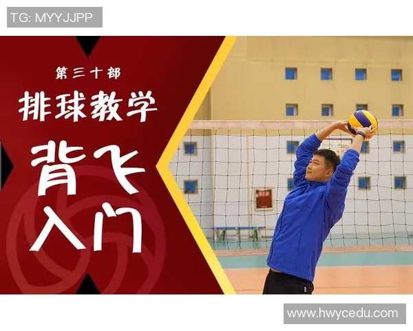 深圳排球队的崛起与力量探讨聚焦排球运动的未来发展与挑战